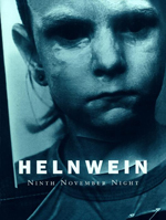 Gottfried Helnwein, Ninth November Night